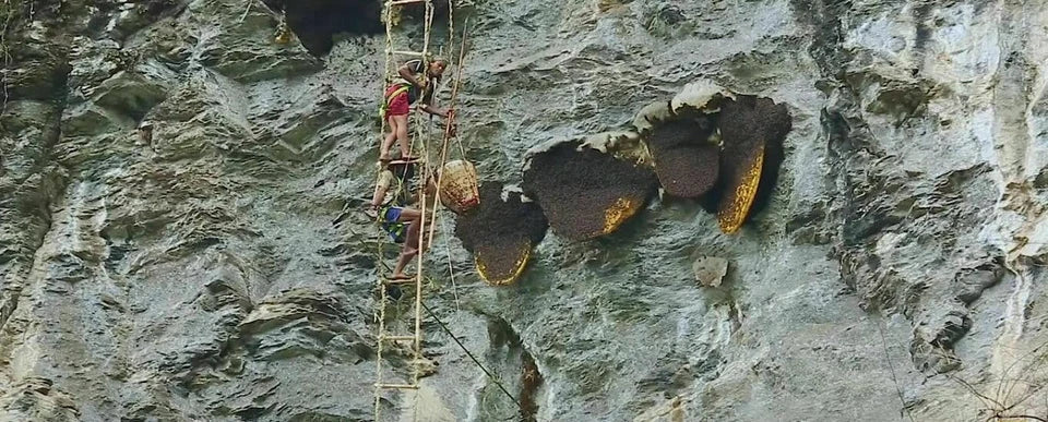 Himalayan Red Honey