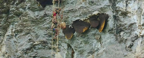 Himalayan Red Honey